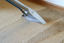 Watch our Carpet and Fabric Technician in Action